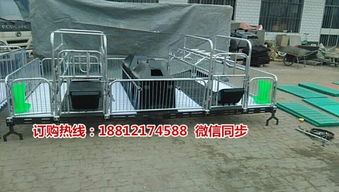 高效養殖必備 渭南母豬分娩欄尺寸詳解與廠家直銷設備選購指南